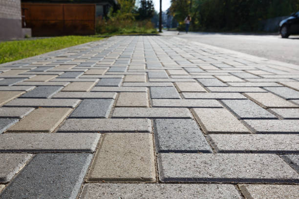 Best Driveway Paving Near Me  in Adrian, MN